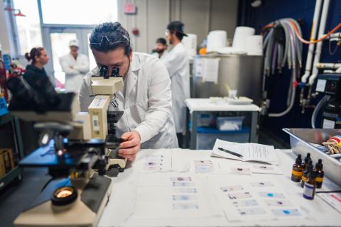 Scientists works with microscope